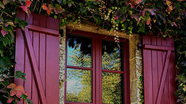 3.gamme-EFFICIENTE-BOIS